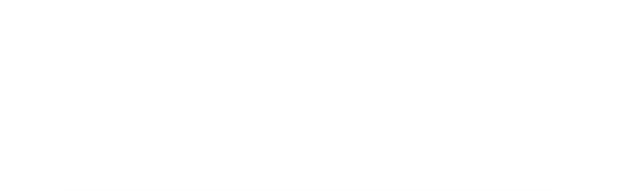 SPASS: biały logotyp w ramce na niebieskim tle marki